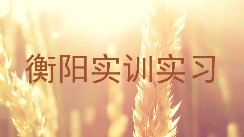 衡阳实训实习