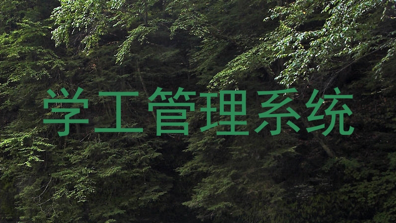 学工管理系统