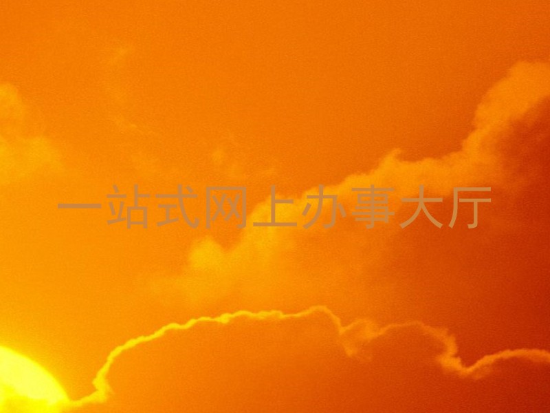 一站式网上办事大厅