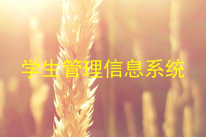 学生管理信息系统