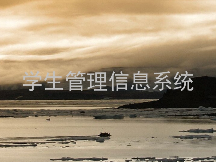 学生管理信息系统