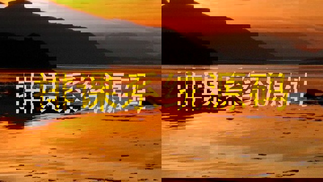 排课系统源码