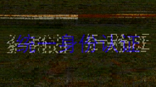 统一身份认证