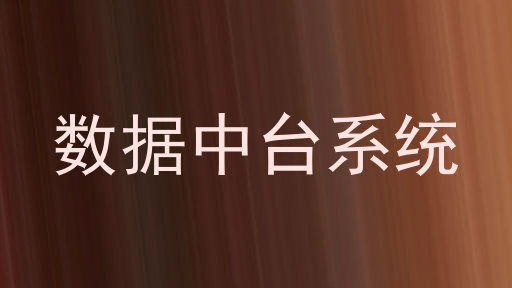数据中台系统