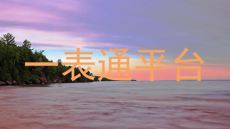 一表通平台