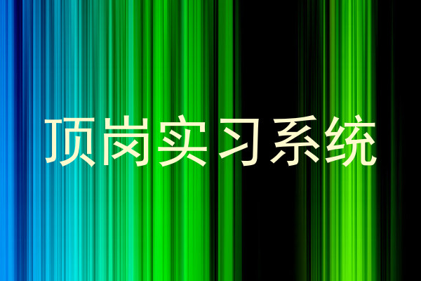 顶岗实习系统