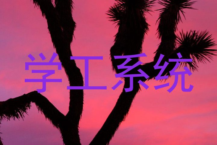 学工系统
