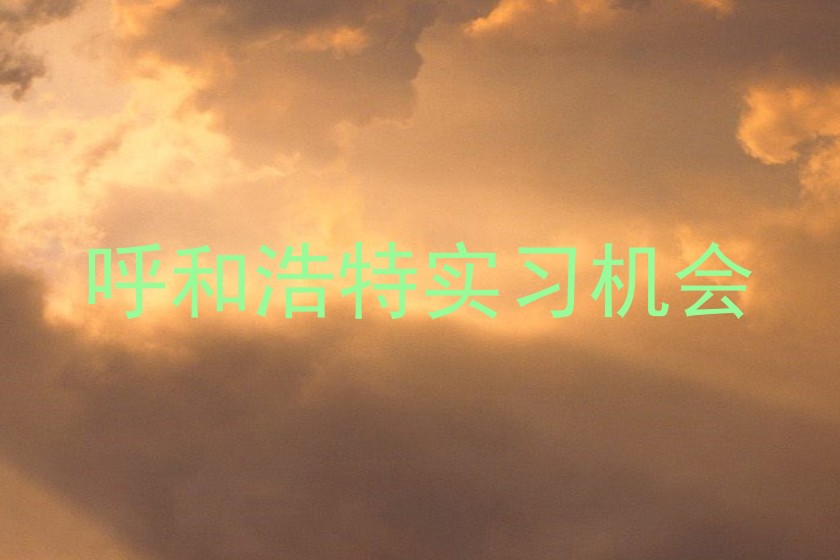 呼和浩特实习机会