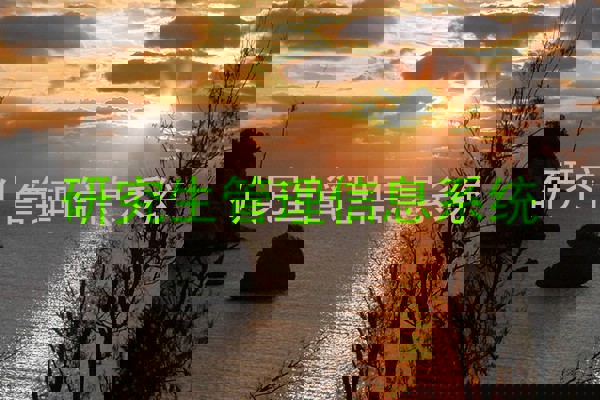 研究生管理信息系统