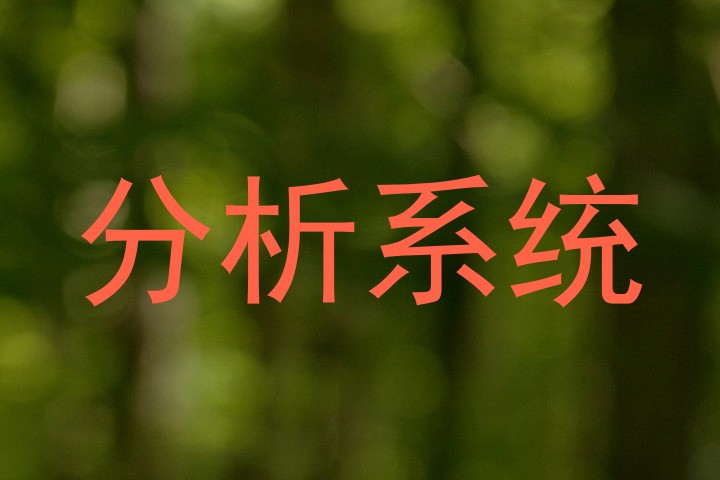 分析系统
