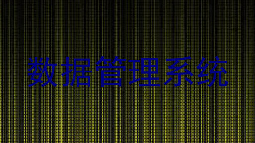 数据管理系统