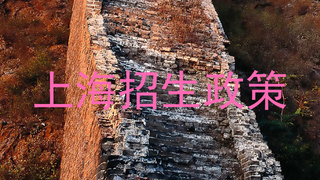 上海招生政策