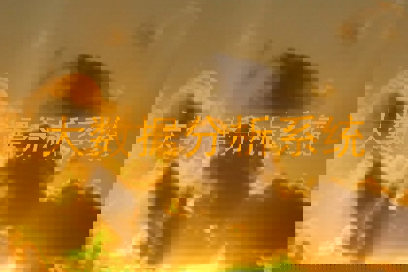 大数据分析系统