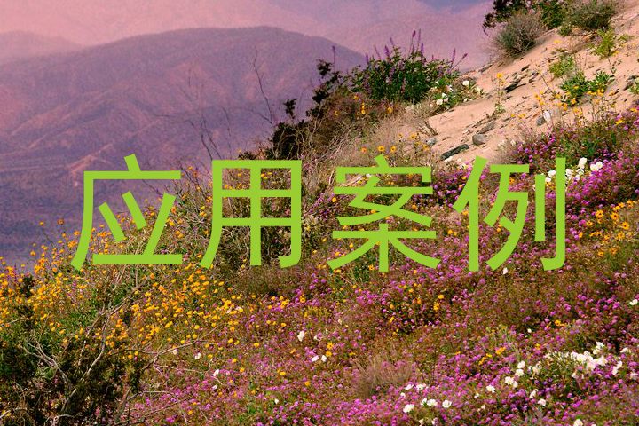 应用案例