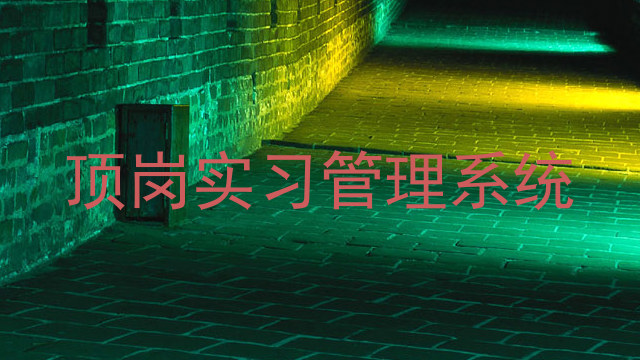 顶岗实习管理系统