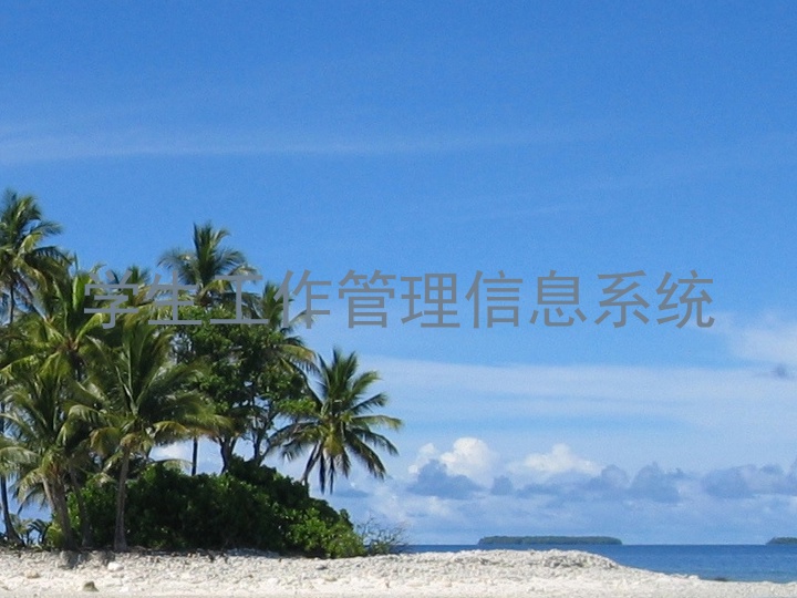 学生工作管理信息系统