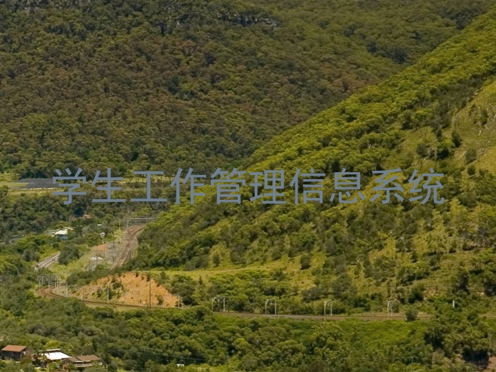 学生工作管理信息系统