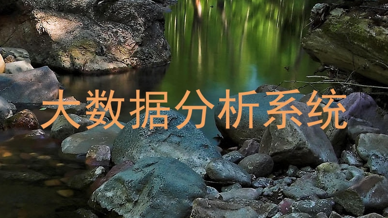 大数据分析系统