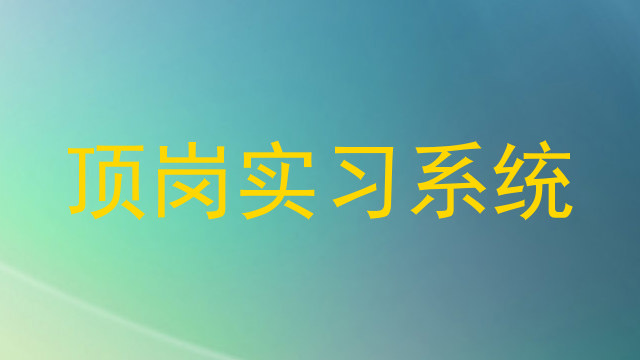 顶岗实习系统