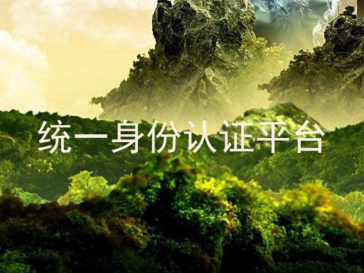 统一身份认证平台
