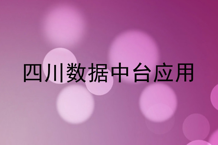 四川数据中台应用
