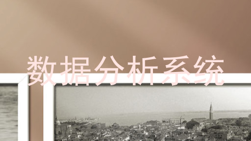 数据分析系统