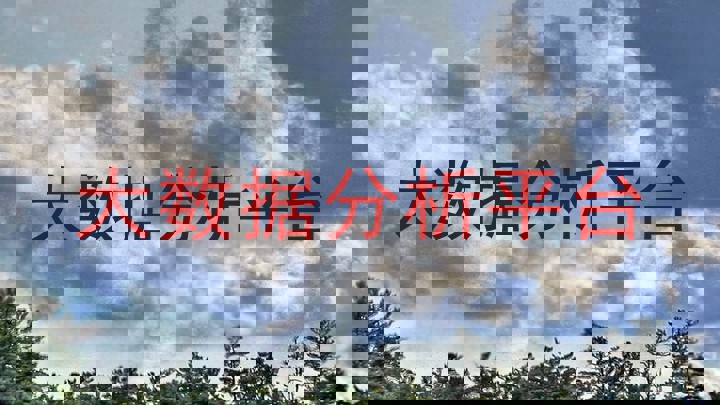 大数据分析平台