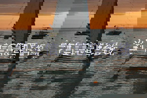 学生信息管理系统