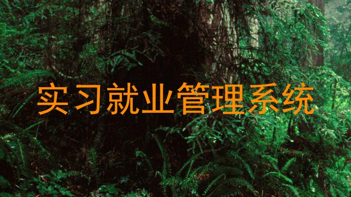 实习就业管理系统