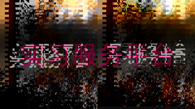 实习服务平台