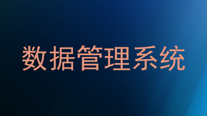 数据管理系统
