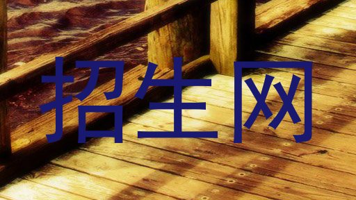 招生网