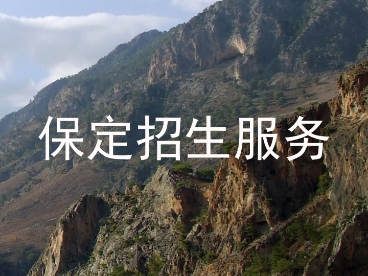 保定招生服务