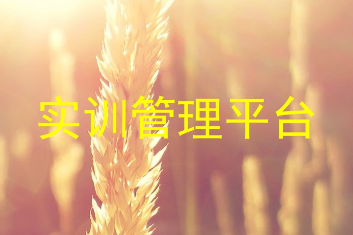 实训管理平台