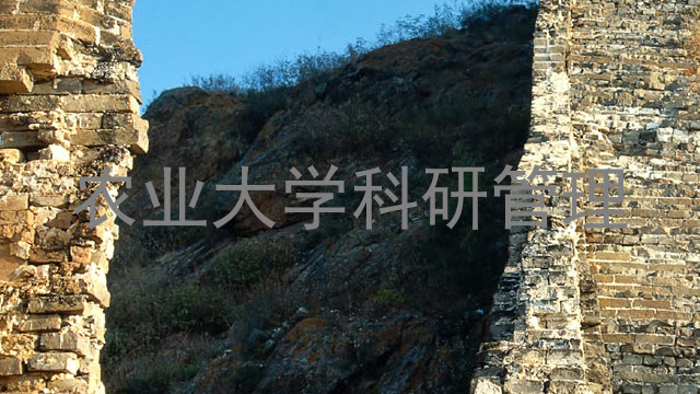 农业大学科研管理