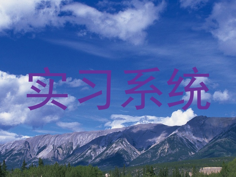 实习系统