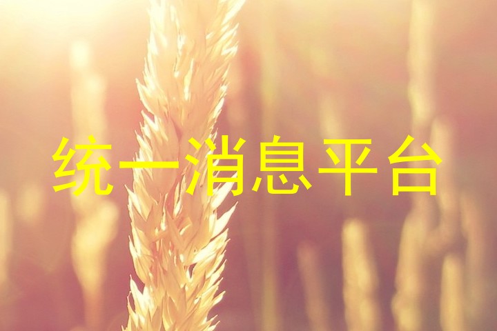 統(tǒng)一消息平臺(tái)