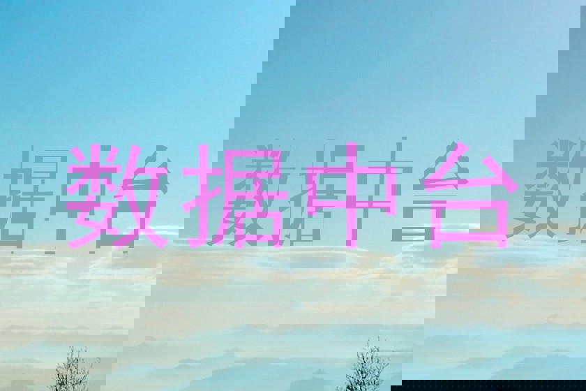 数据中台