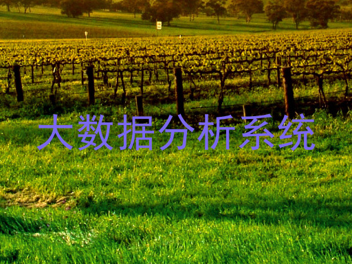 大数据分析系统