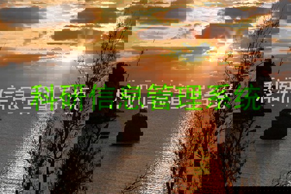 科研信息管理系统