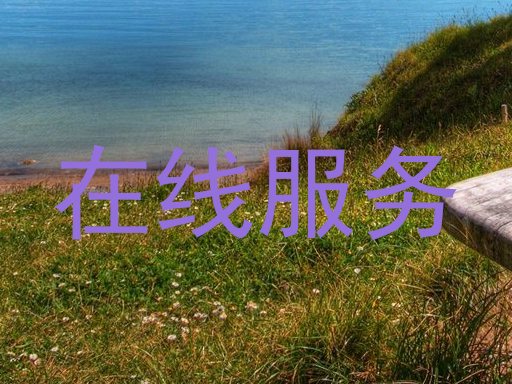 在线服务