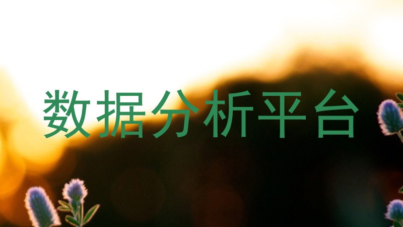 数据分析平台