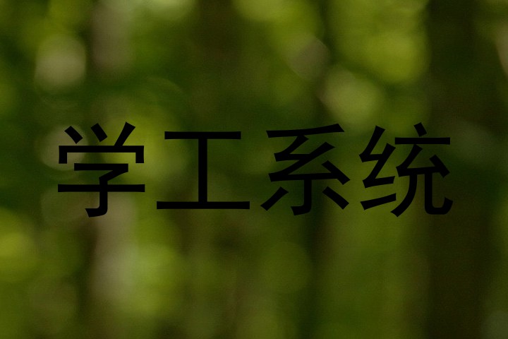 学工系统