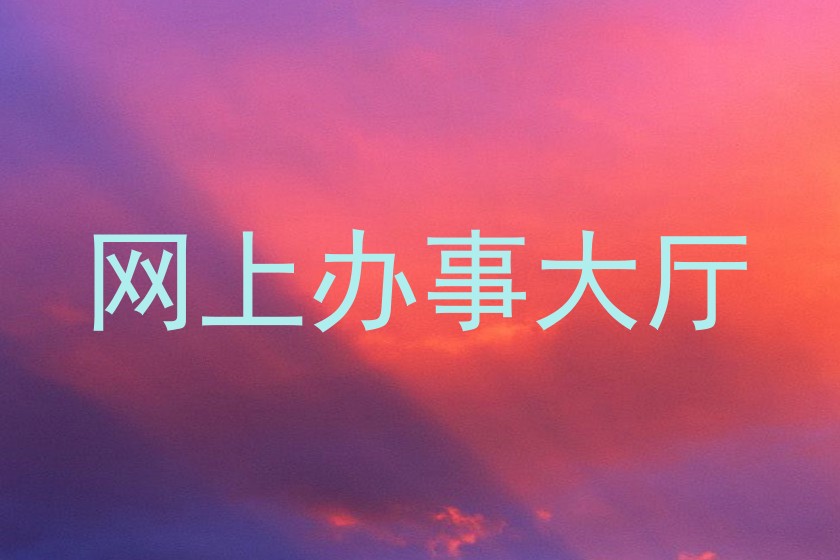 网上办事大厅
