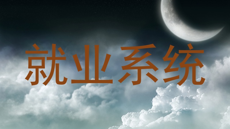 就业系统