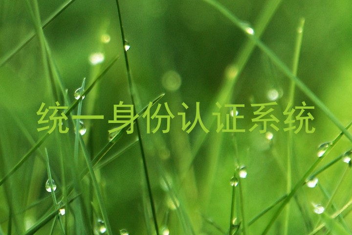 统一身份认证系统