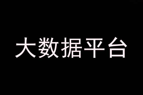 大数据平台