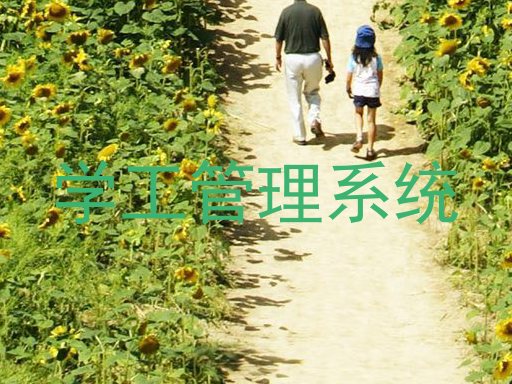 学工管理系统