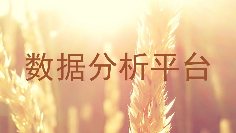 数据分析平台