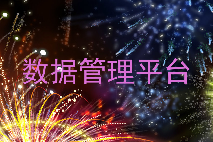 数据管理平台
